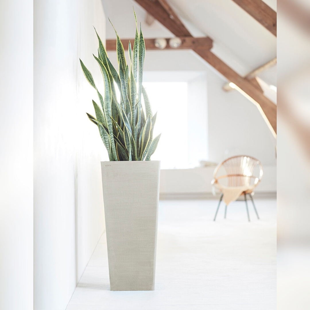 Ecopots Rotterdam High 70 cm - Vaso alto in plastica