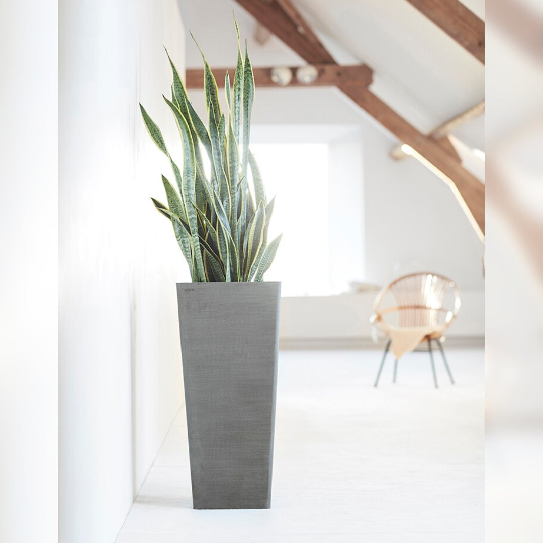 Ecopots Rotterdam High 70 cm - Vaso alto in plastica