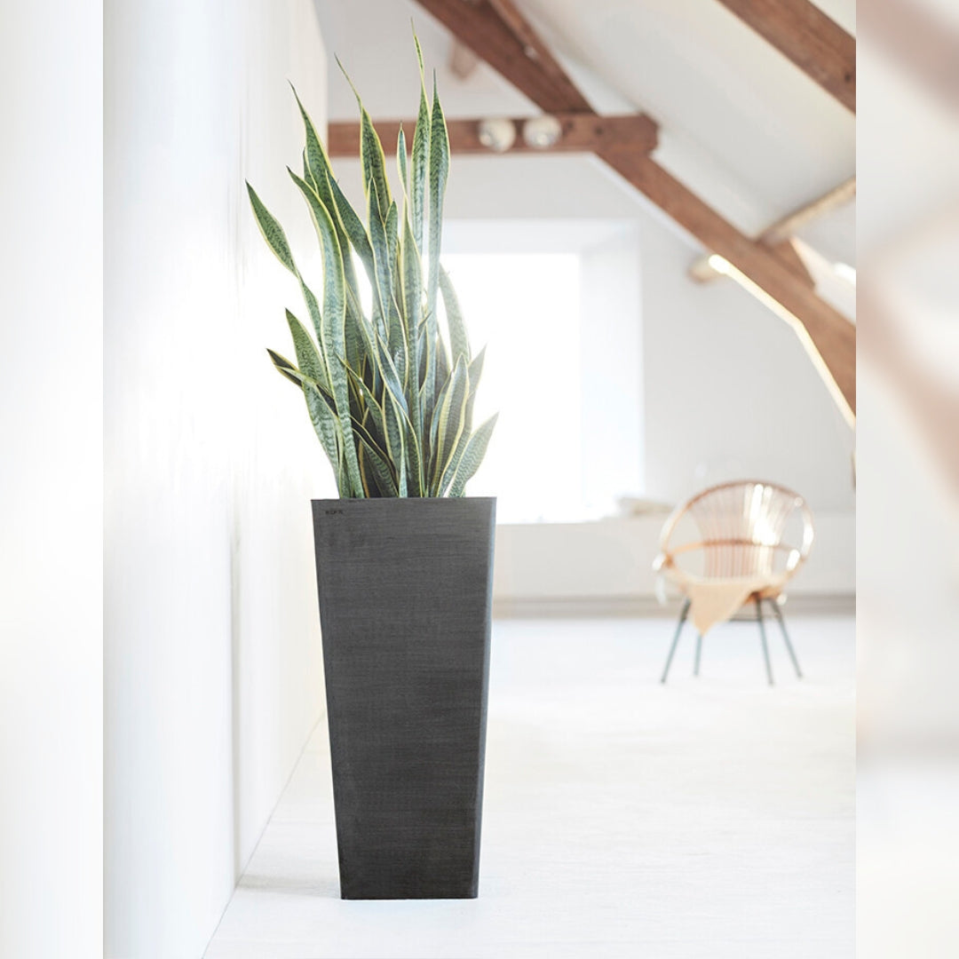 Ecopots Rotterdam High 70 cm - Vaso alto in plastica