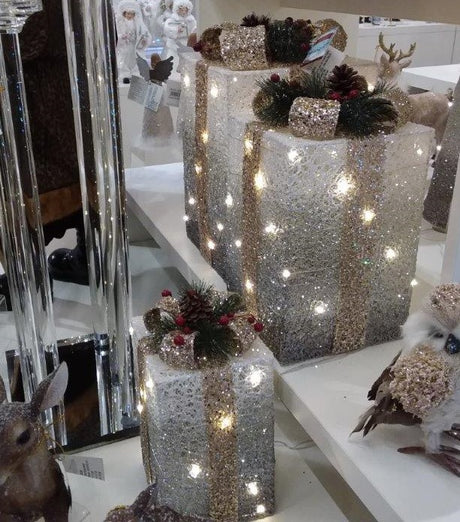 Pacco regalo - Decorazioni natalizie luminose
