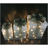 Pacco regalo - Decorazioni natalizie luminose