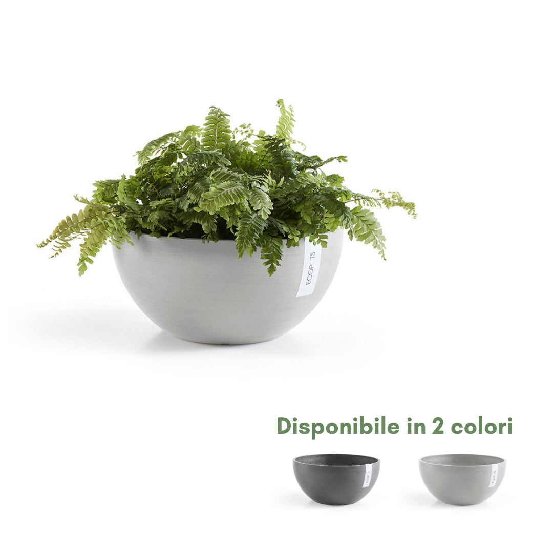 Ecopots Brussels 30 cm - Vaso tondo basso