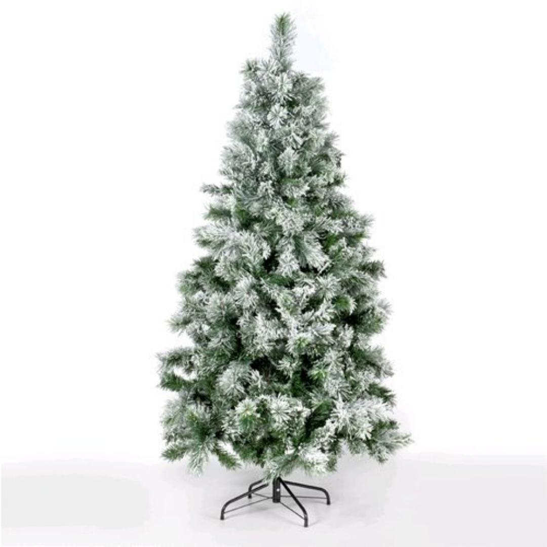 Vancouver Innevato - Albero Natale con neve