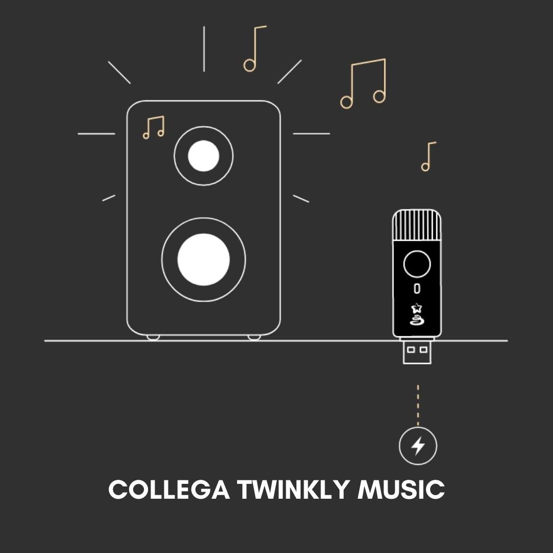Come si usa Twinkly Music Parte 1  | Bia Home & Garden