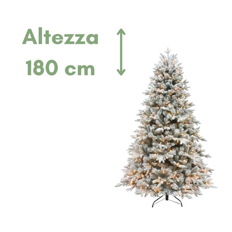 Ottawa - Albero di Natale illuminato