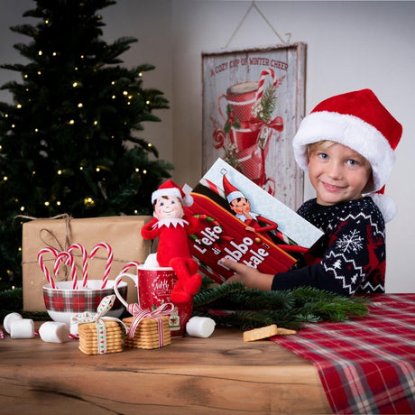 L'elfo di Babbo Natale - Storie di Natale illustrate