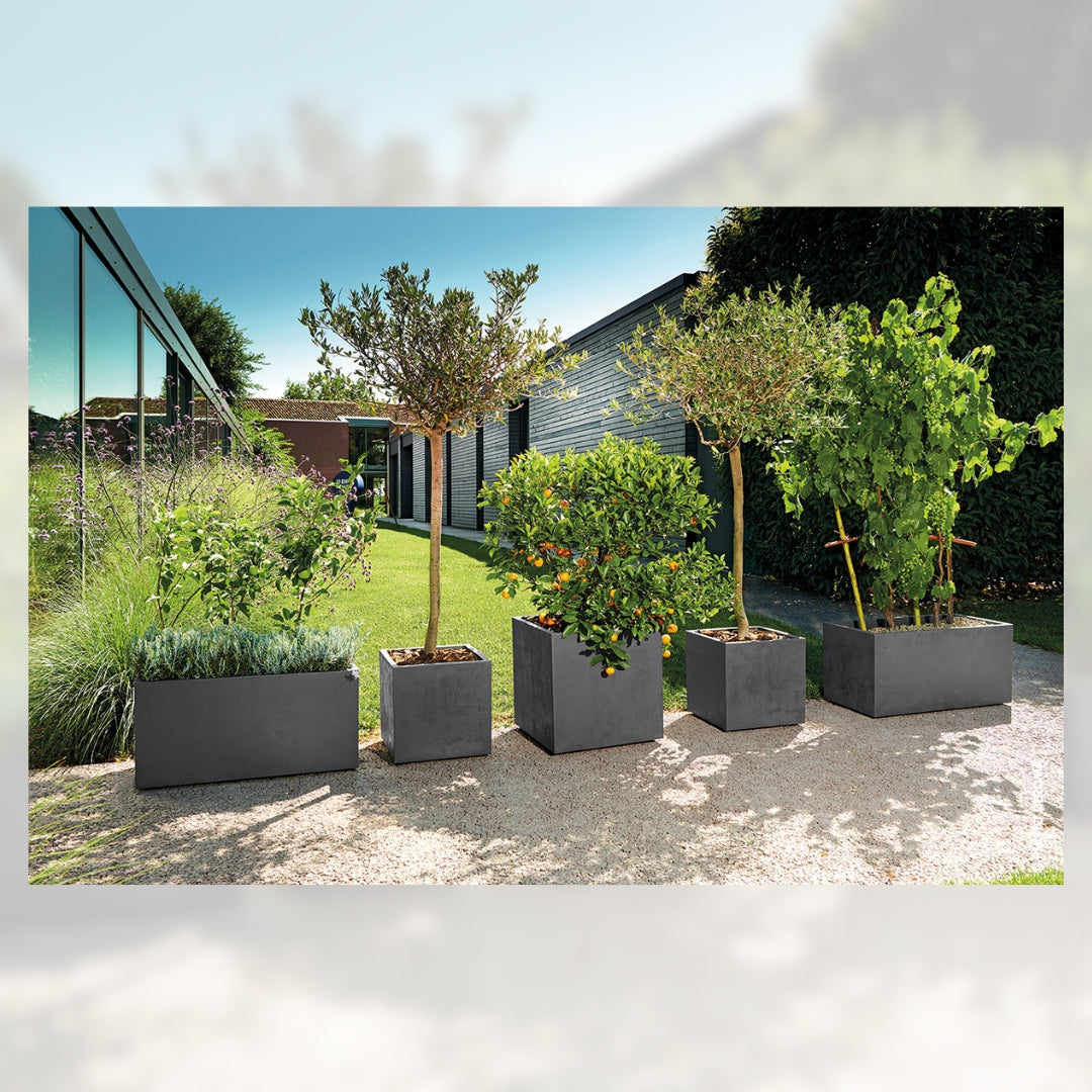 Happyyami Set 10 Vasi da Fiori in Plastica Quadrati Neri Happyyami Set 10 Vasi da Fiori in Plastica Quadrati Neri