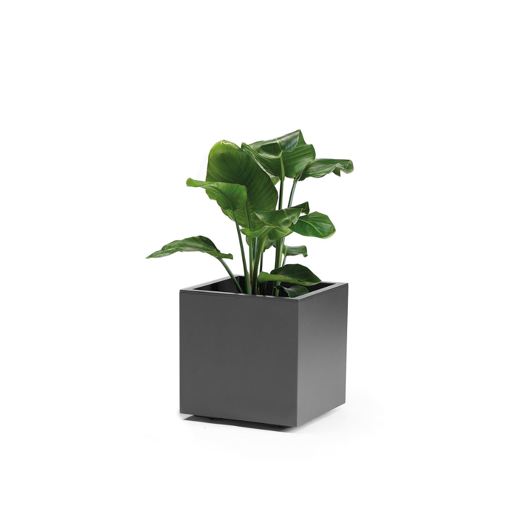 Kebe Greener 40 cm - Vaso plastica quadrato