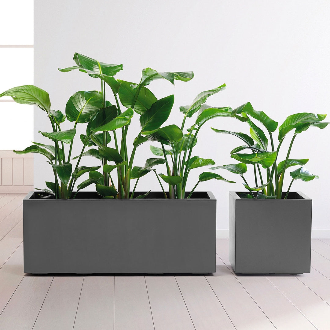 Kebe Greener 40 cm - Vaso plastica quadrato