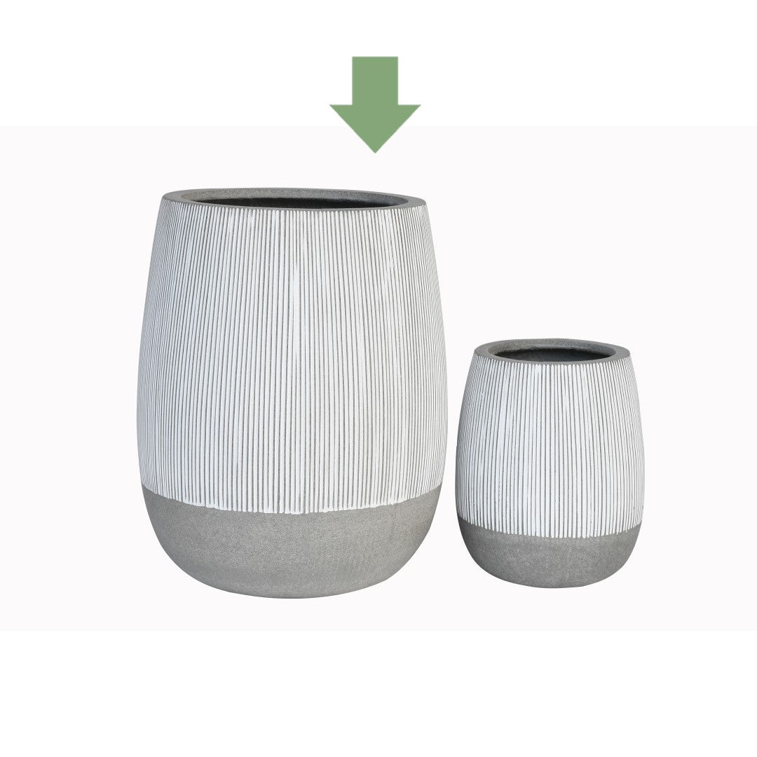 Elegante Vaso in Ficonstone - Vaso a cilindro