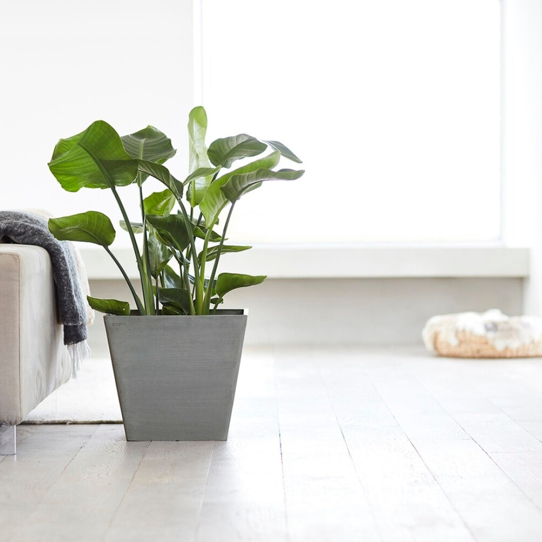 Ecopots Rotterdam 50 cm - Vaso in plastica da giardino