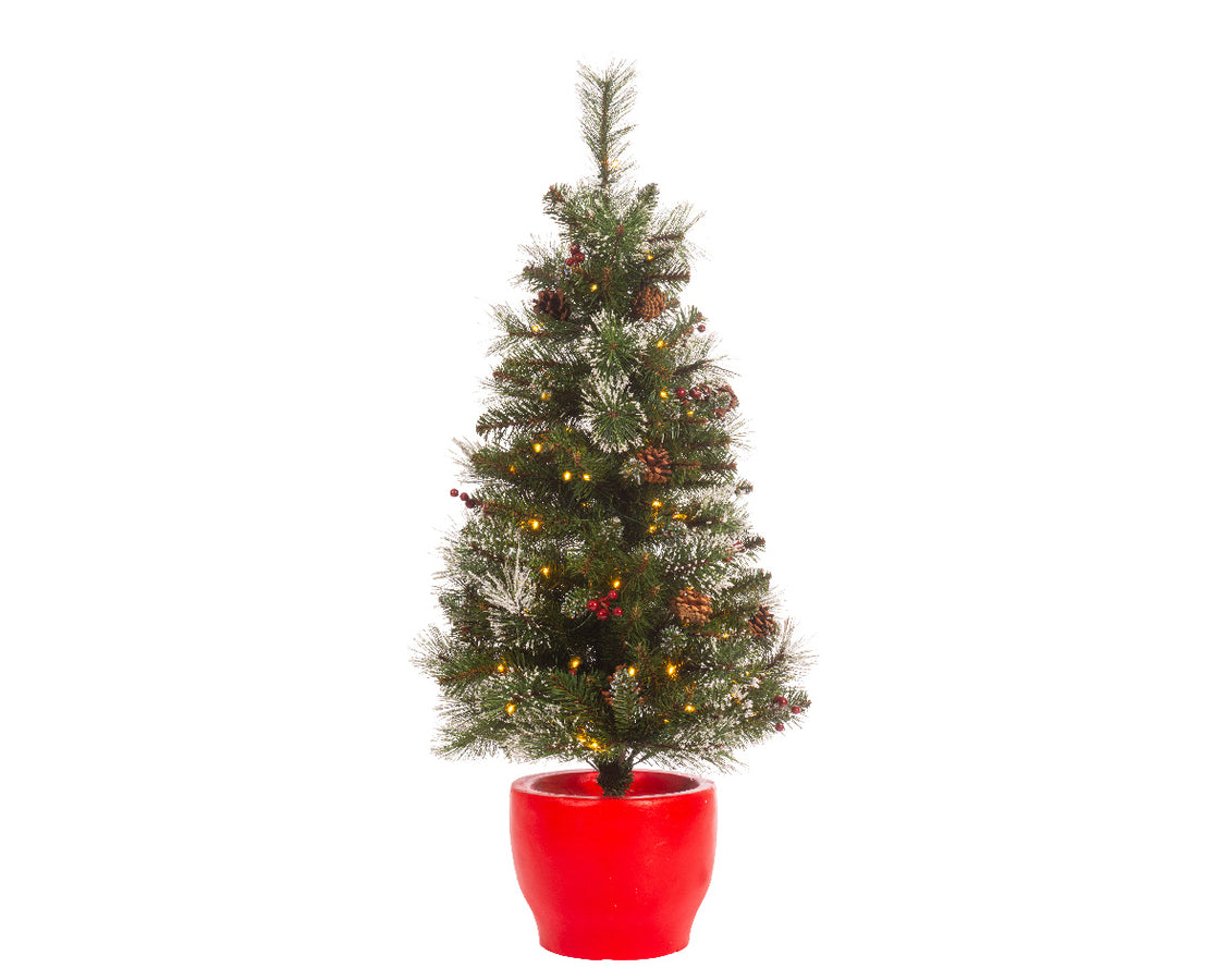 Ipswich Innevato - Piccolo albero di natale con luci