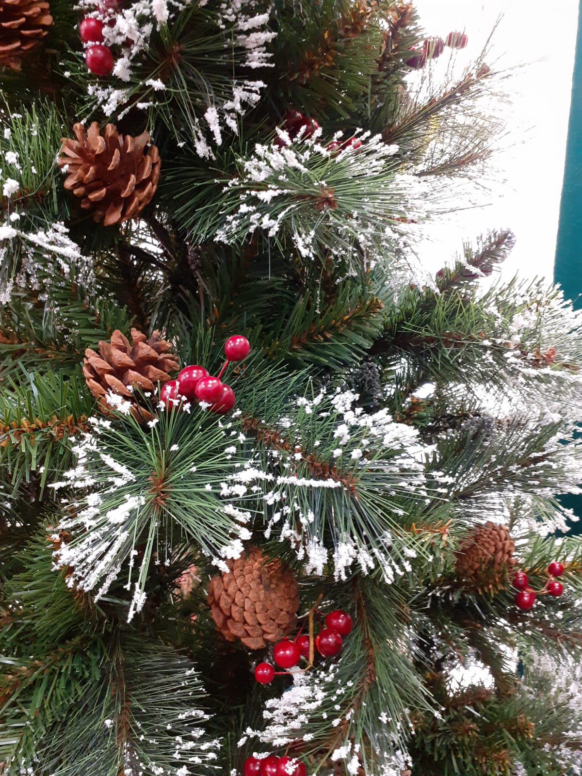 Ipswich Innevato - Piccolo albero di natale con luci