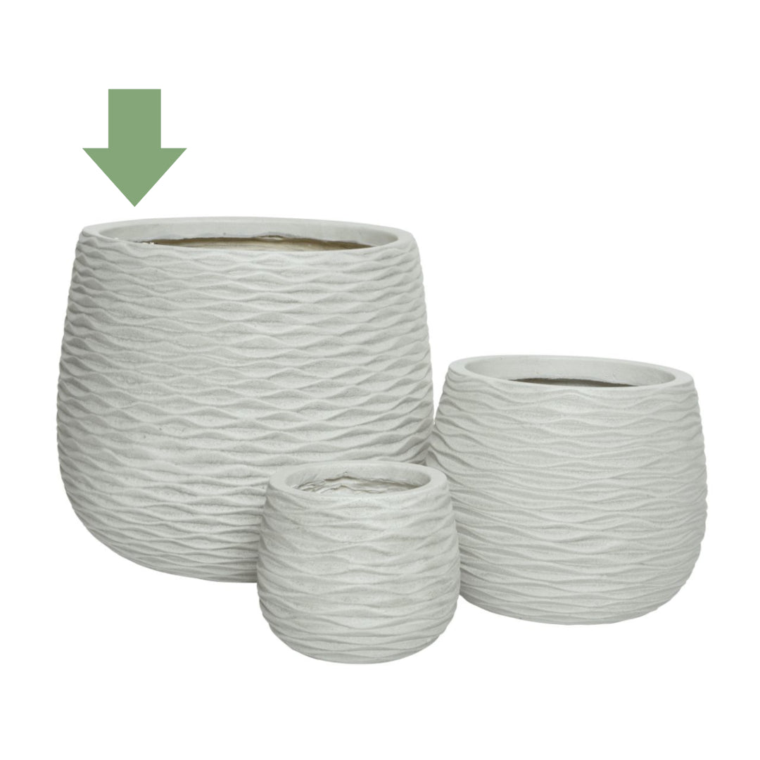 Vaso Basso Cody - Vaso bianco basso