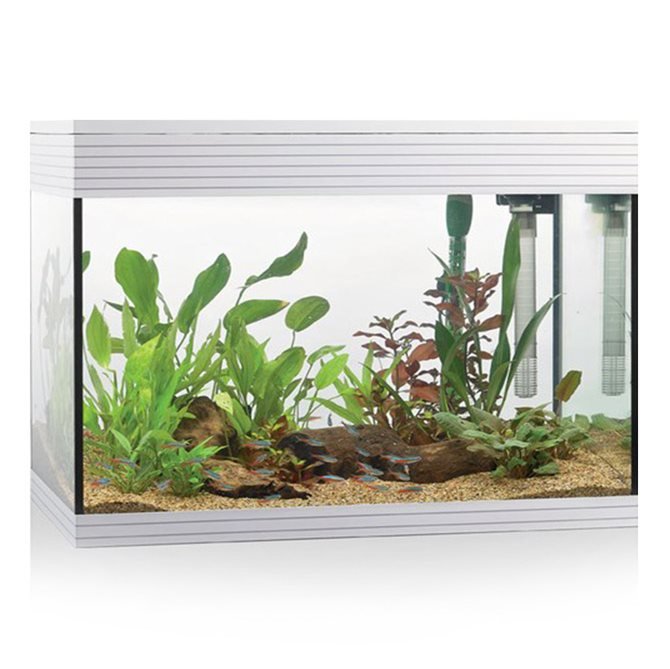 ACQUARIO A LED ASKOLL PURE AQUARIUM KIT L BIANCO Acquario Askoll