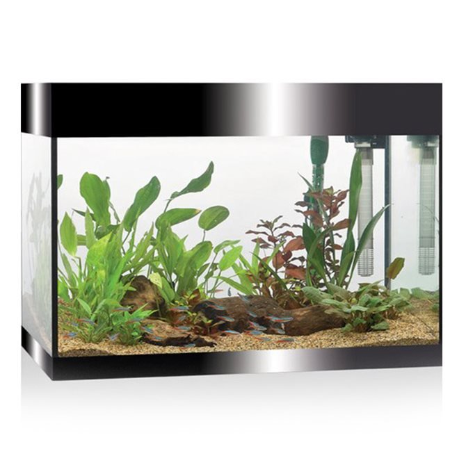 ACQUARIO A LED ASKOLL PURE AQUARIUM KIT L NERO