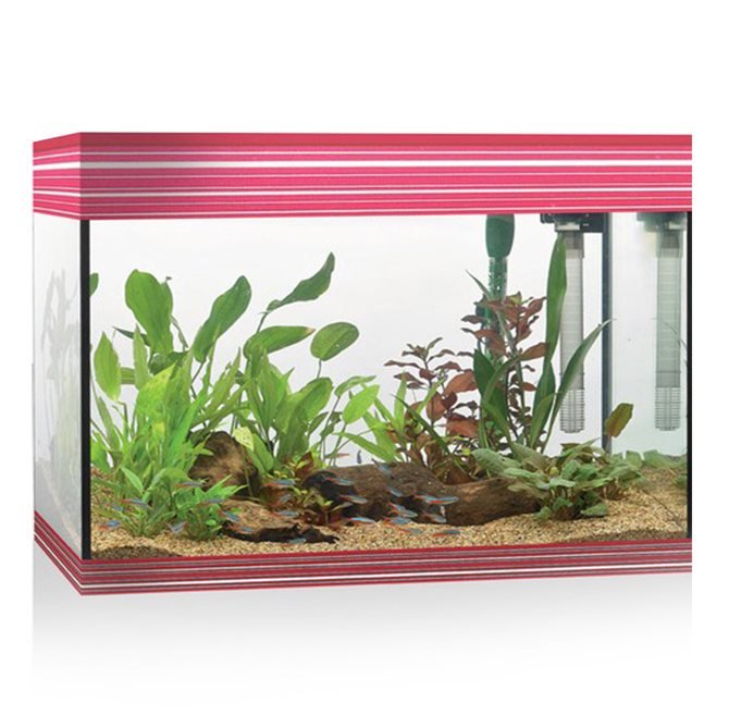 ACQUARIO A LED ASKOLL PURE AQUARIUM KIT L ROSSO Acquario Askoll