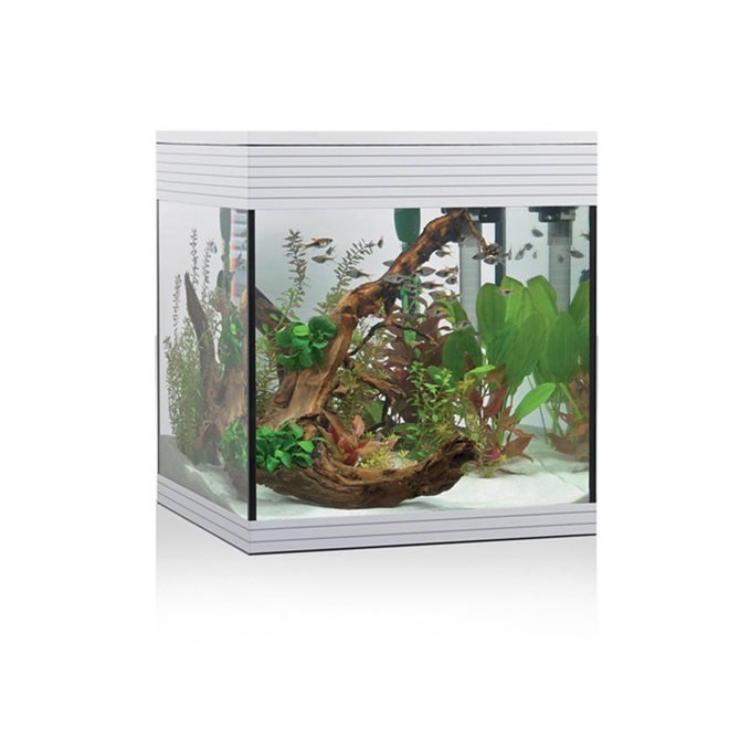 ACQUARIO A LED ASKOLL PURE AQUARIUM KIT M BIANCO Acquario Askoll