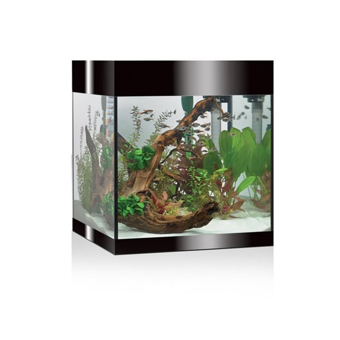 ACQUARIO A LED ASKOLL PURE AQUARIUM KIT M NERO Acquario Askoll