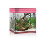 ACQUARIO A LED ASKOLL PURE AQUARIUM KIT M ROSSO Acquario Askoll