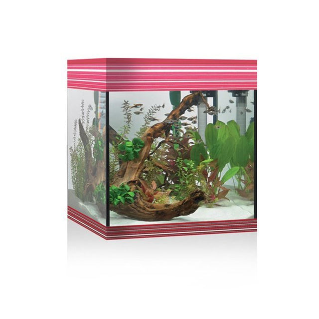 ACQUARIO A LED ASKOLL PURE AQUARIUM KIT M ROSSO Acquario Askoll
