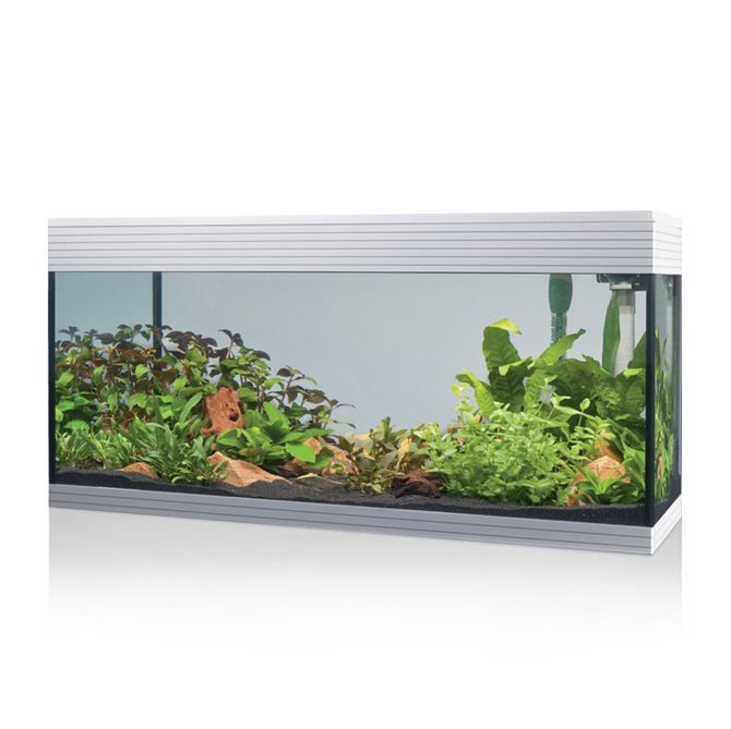 ACQUARIO A LED ASKOLL PURE AQUARIUM KIT XL BIANCO Acquario Askoll