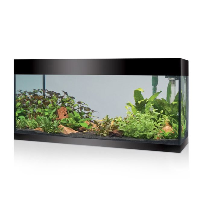 ACQUARIO A LED ASKOLL PURE AQUARIUM KIT XL NERO Acquario Askoll