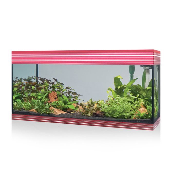 ACQUARIO A LED ASKOLL PURE AQUARIUM KIT XL ROSSO Acquario Askoll