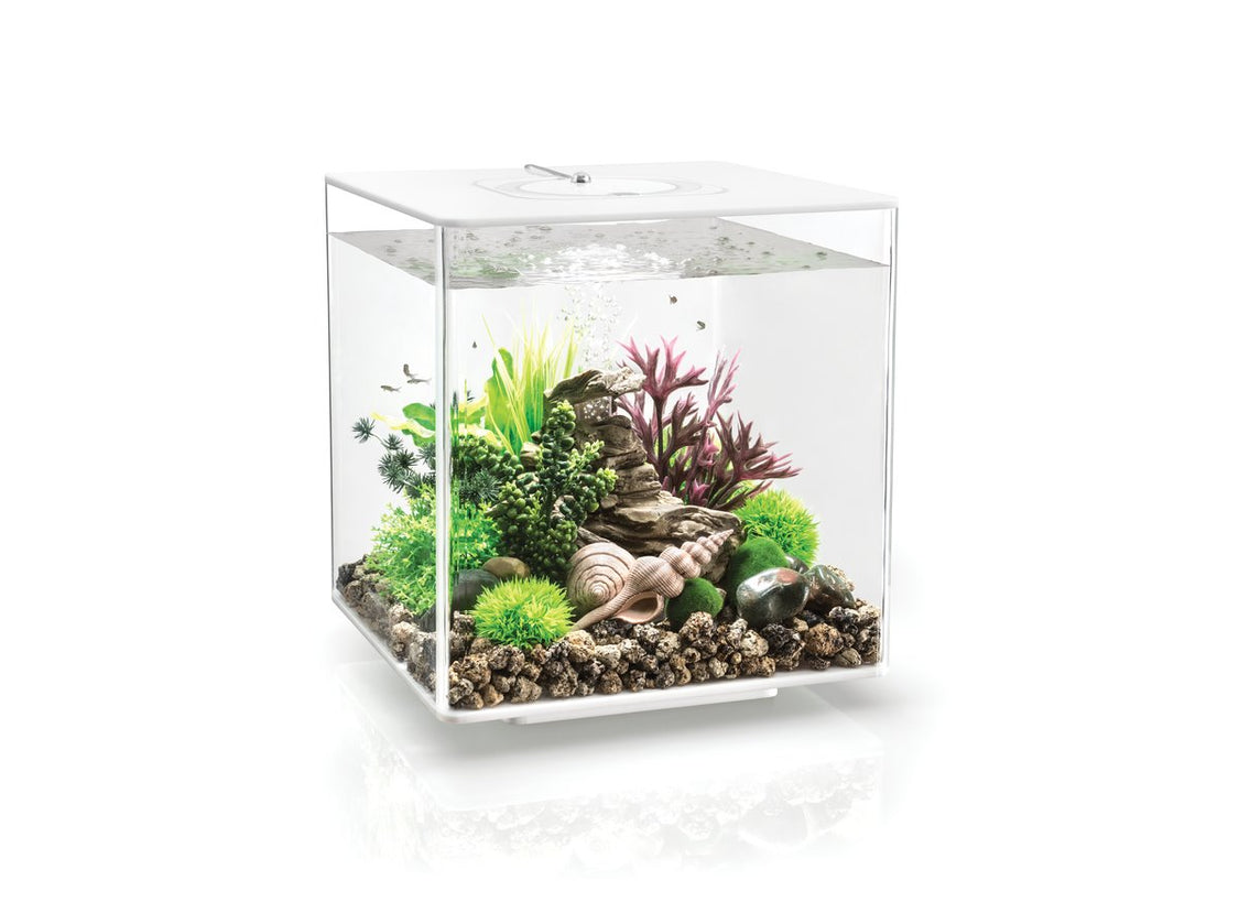 ACQUARIO A LED BIORB CUBE 30 LITRI BIANCO Acquario Oase