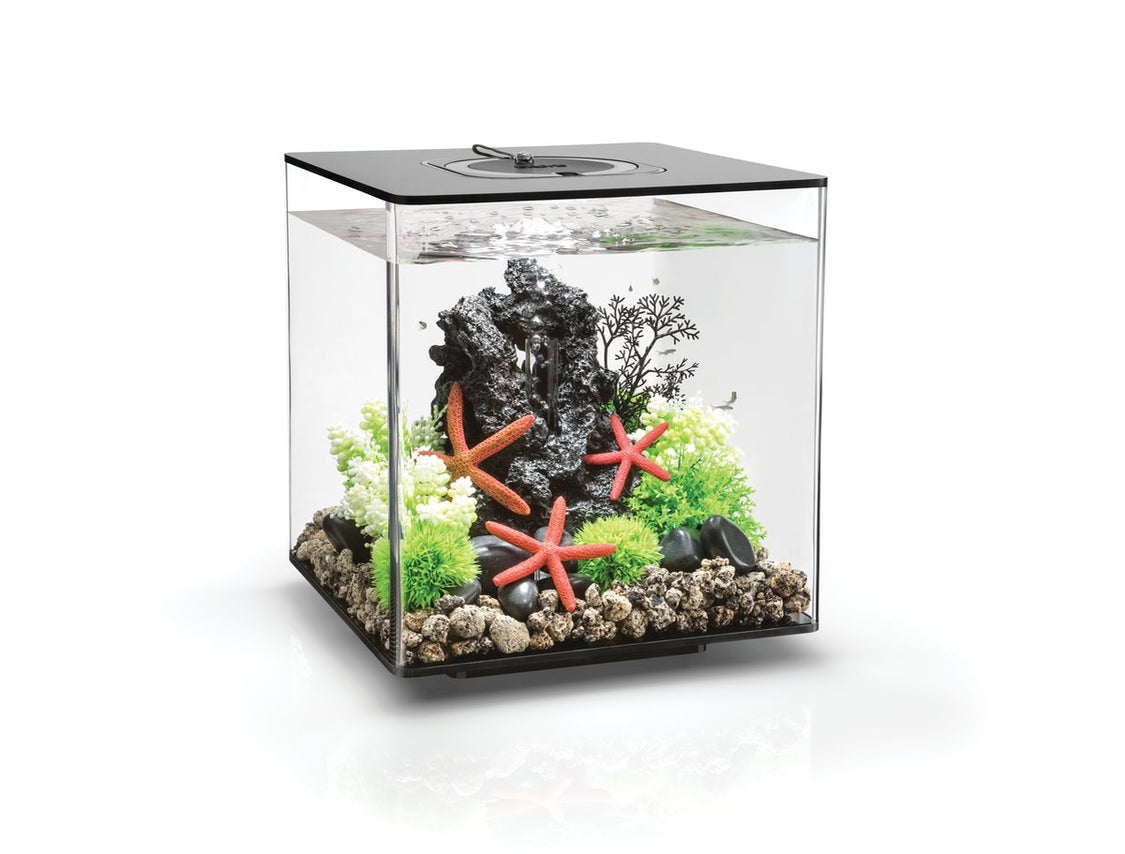 ACQUARIO A LED MCR BIORB CUBE 30 LITRI NERO