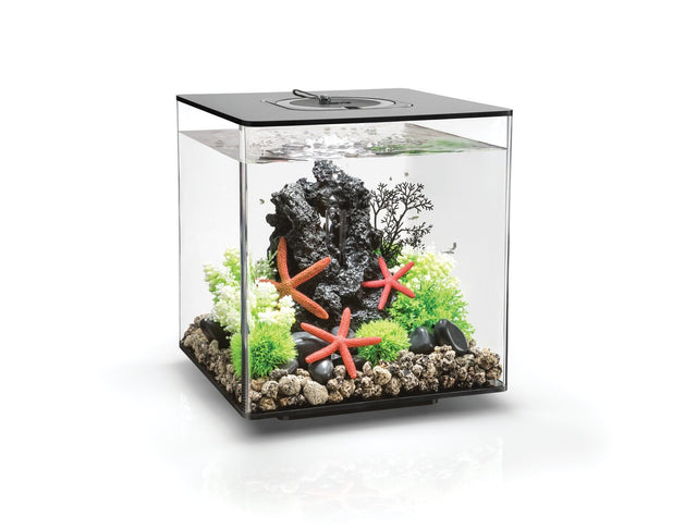 ACQUARIO A LED MCR BIORB CUBE 30 LITRI NERO
