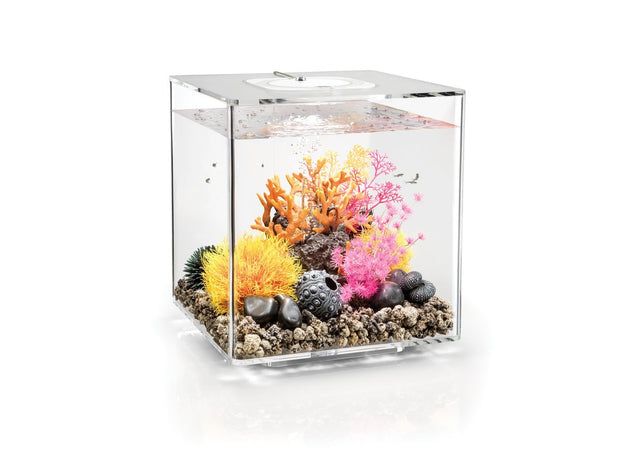 ACQUARIO A LED MCR BIORB CUBE 30 LITRI TRASPARENTE Acquario Oase