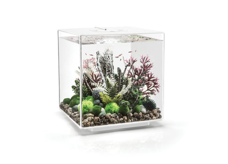 ACQUARIO A LED MCR BIORB CUBE 60 LITRI BIANCO Acquario Oase