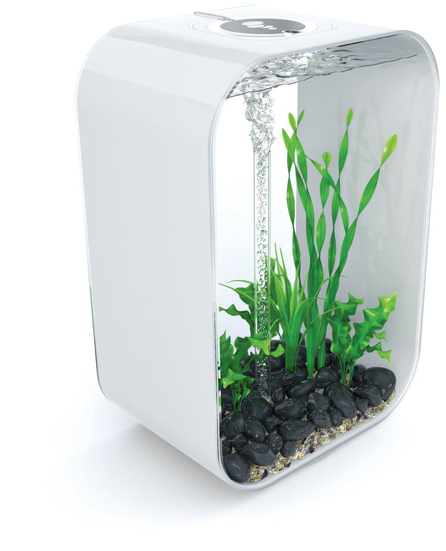 ACQUARIO A LED MCR BIORB LIFE 60 LITRI BIANCO Acquario Oase