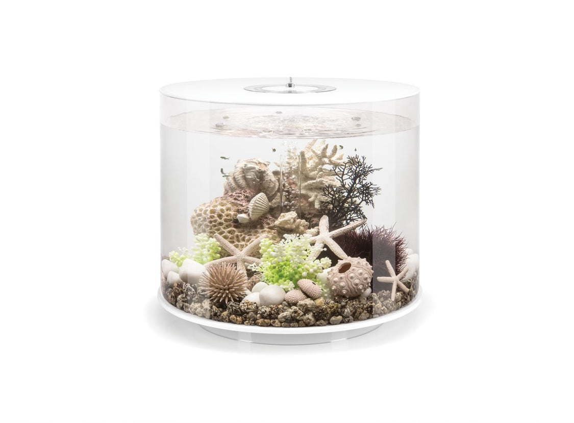 ACQUARIO A LED MCR BIORB TUBE 35 LITRI BIANCO Acquario Oase