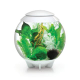 ACQUARIO BIORB HALO A LED MCR BIANCO 30 LITRI Acquario Oase