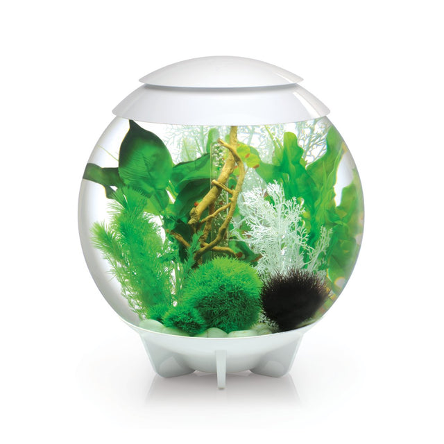ACQUARIO BIORB HALO A LED MCR BIANCO 30 LITRI Acquario Oase