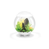 ACQUARIO BIORB HALO A LED MCR BIANCO 30 LITRI Acquario Oase