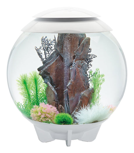ACQUARIO BIORB HALO A LED MCR BIANCO 60 LITRI Acquario Oase