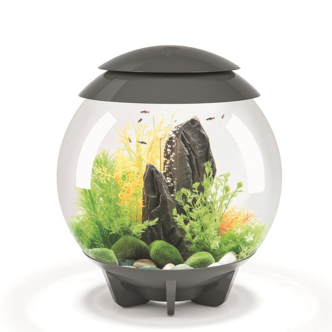 ACQUARIO BIORB HALO A LED MCR GRIGIO 60 LITRI Acquario Oase