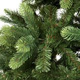 Punte da vicino dell'albero di Natale Alberta