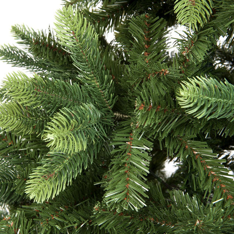 Punte da vicino dell'albero di Natale Alberta