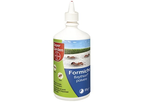 ANTI FORMICHE BAYTHION 375 GRAMMI