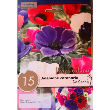 BULBI ANEMONE CORONARIA COLORI MIX Bulbi Autunnali Kapiteyn