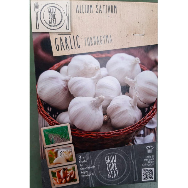 BULBI DI AGLIO BIANCO