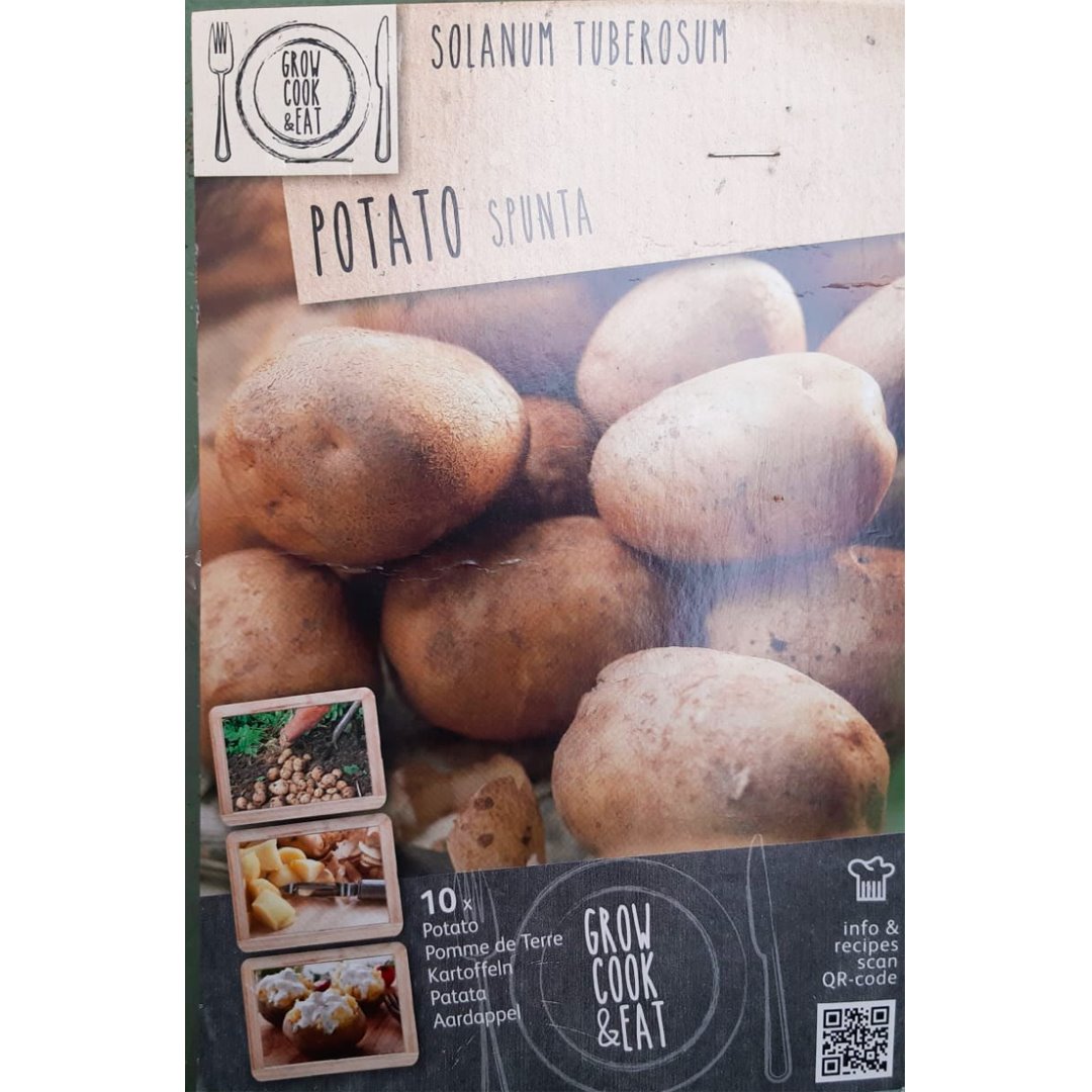 BULBI DI PATATA SPUNTA Bulbo Orto Kapiteyn