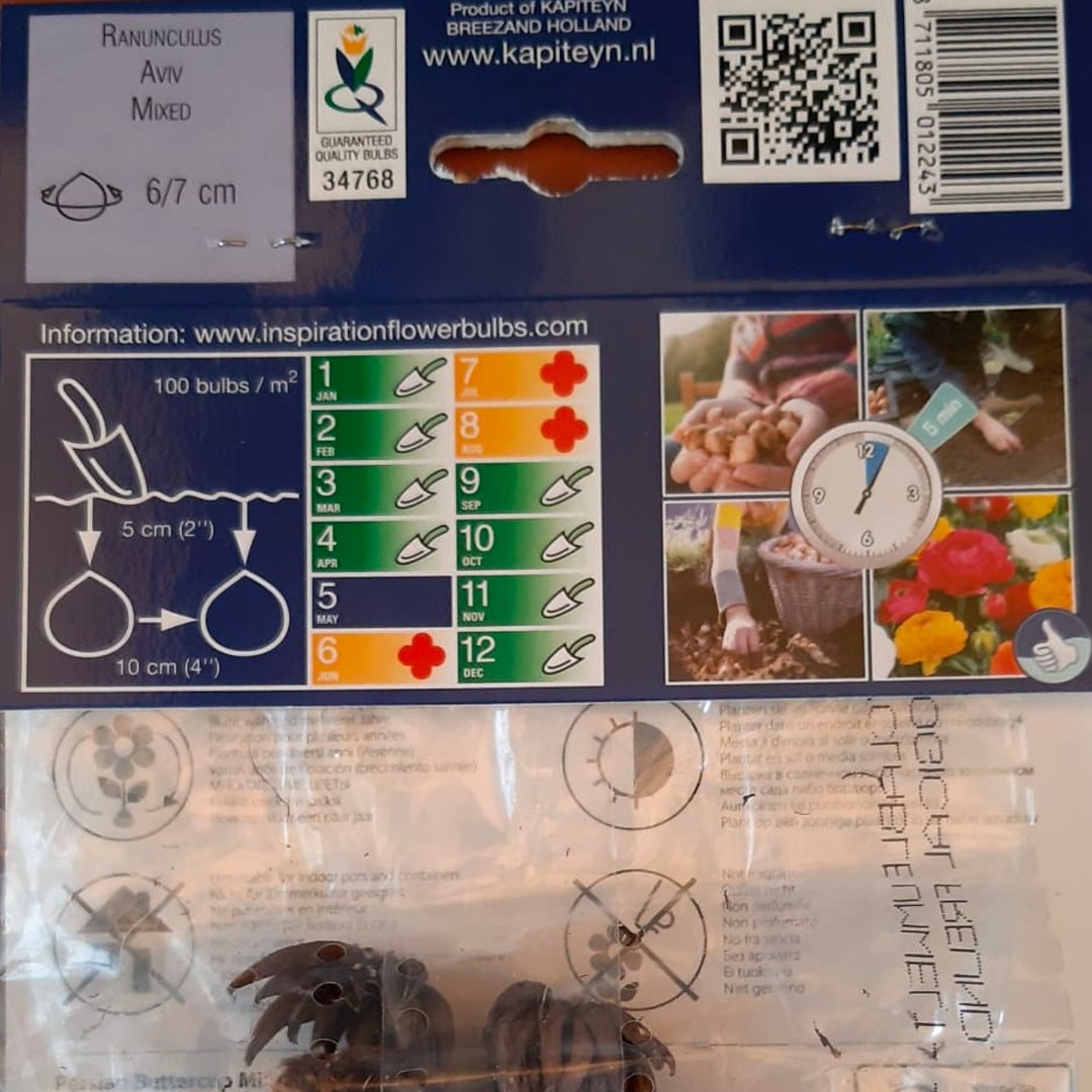 BULBI DI RANUNCULUS COLORI MISTI Bulbi Autunnali Kapiteyn