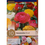 BULBI DI RANUNCULUS COLORI MISTI Bulbi Autunnali Kapiteyn