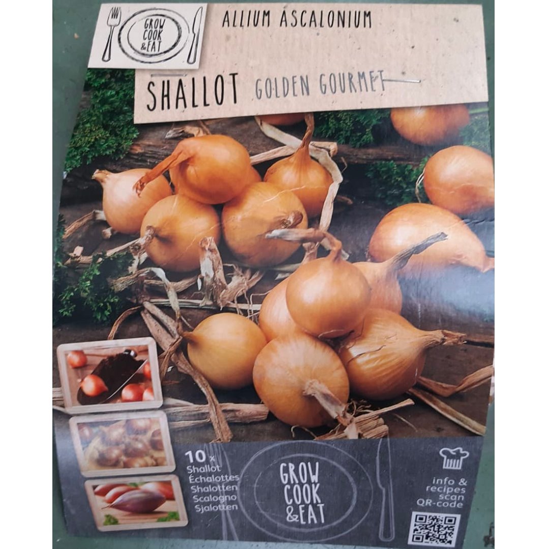 BULBI DI SCALOGNO GOLDEN GOURMET Bulbo Orto Kapiteyn