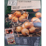 BULBI DI SCALOGNO GOLDEN GOURMET Bulbo Orto Kapiteyn